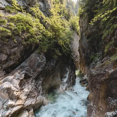 Rosenegg Apartament *